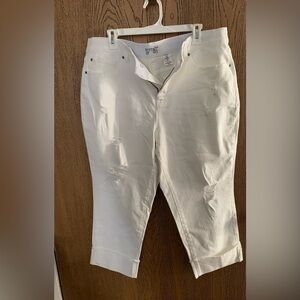 Terra & Sky Women’s White Destressed Capri